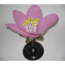 Демонстрационная модель цветка персика